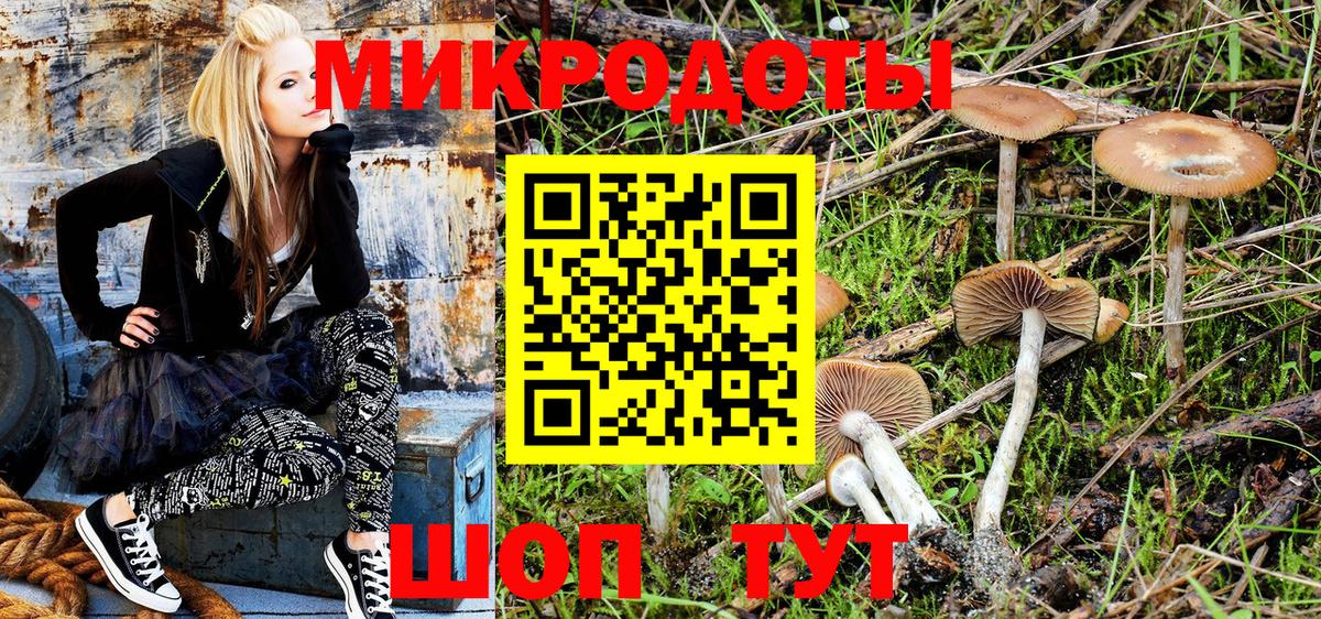 Йошкар-Ола  Галлюциногенные грибы Magic Shrooms  купить наркоту  Вход с VPN 