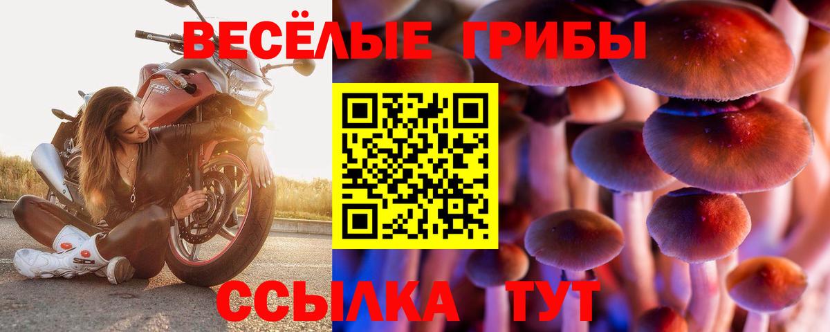 Галлюциногенные грибы Psilocybine cubensis Йошкар-Ола